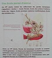 06 - De l'ecole generale a l'ecole de botanique (1).jpg